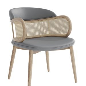 Hotselling Dining Chair